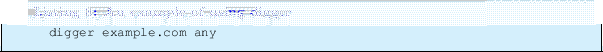 \begin{lstlisting}[label=DIGEX,caption=An example of using digger]
digger example.com any
\end{lstlisting}