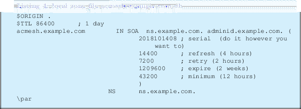 \begin{lstlisting}[label=ZONE,caption=local zone file acmesh.example.com.db ]
$O...
... weeks)
43200 ; minimum (12 hours)
)
NS ns.example.com.
\par
\end{lstlisting}