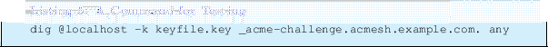 \begin{lstlisting}[label=DIG,caption=A Command for Testing ]
dig @localhost -k keyfile.key _acme-challenge.acmesh.example.com. any
\end{lstlisting}